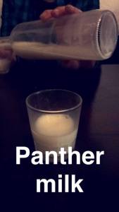 All I managed was a Snapchat of Panther Milk